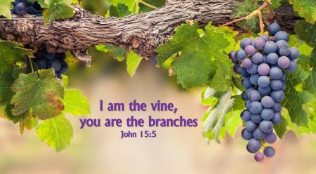 Join us for Worship at 11 am